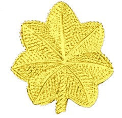 FIRST CLASS MAJOR PIN GOLD (SMALL)