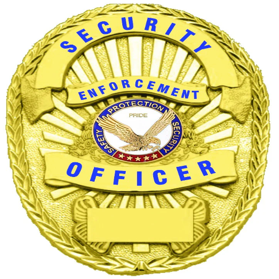 [CUSTOMIZED] SECURITY ENFORCEMENT OFFICER GOLD SHIELD BADGE